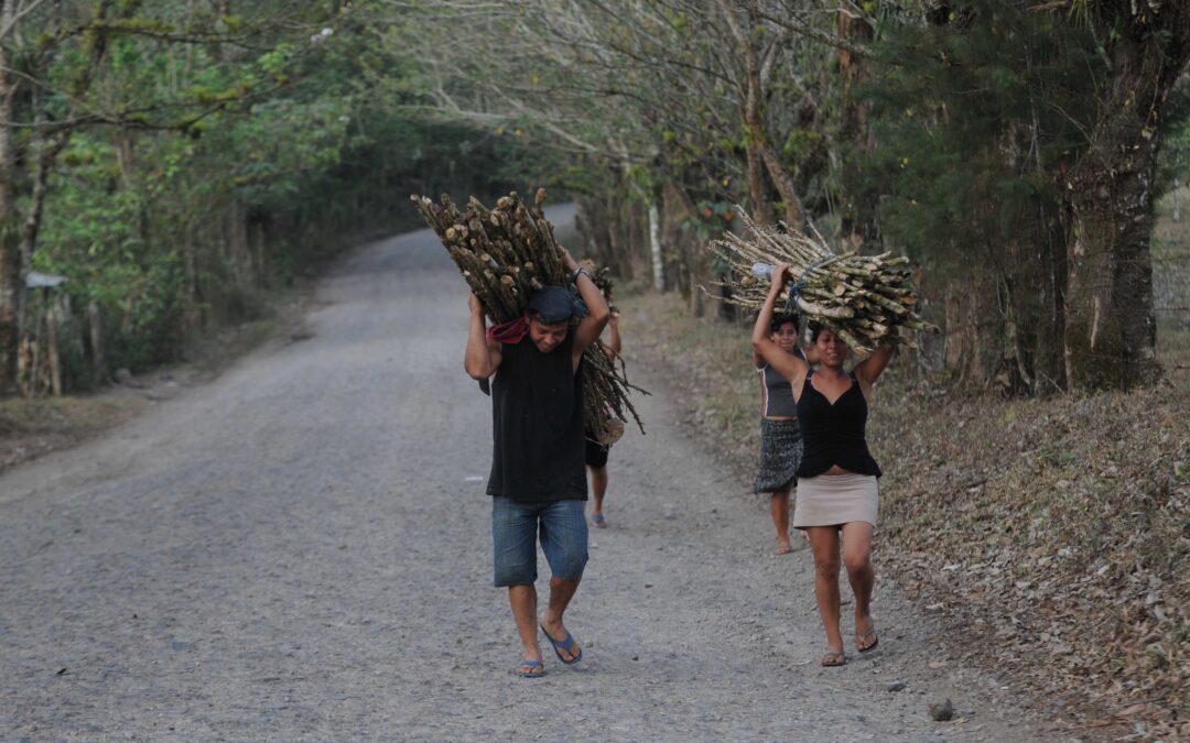 Nicaragua enfrenta crisis estructural con estabilidad macroeconómica frágil y alto costo social, advierte cetcam