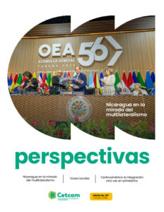 Perspectivas 197